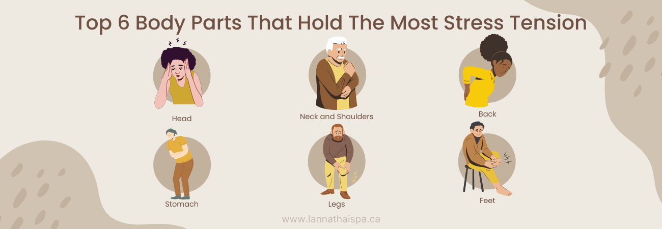 top-6-bodyparts-that-hold-the-most-stress-tension